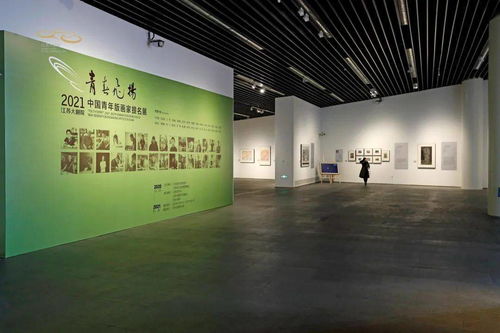 当代中国青年版画的盛宴 青春飞扬 2021中国青年版画家提名展在江苏大剧院隆重开幕