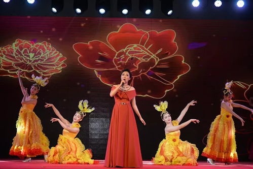 蔡甸区第十九届 莲花奖 知音文化艺术节文艺演出比赛初赛第七场圆满举办